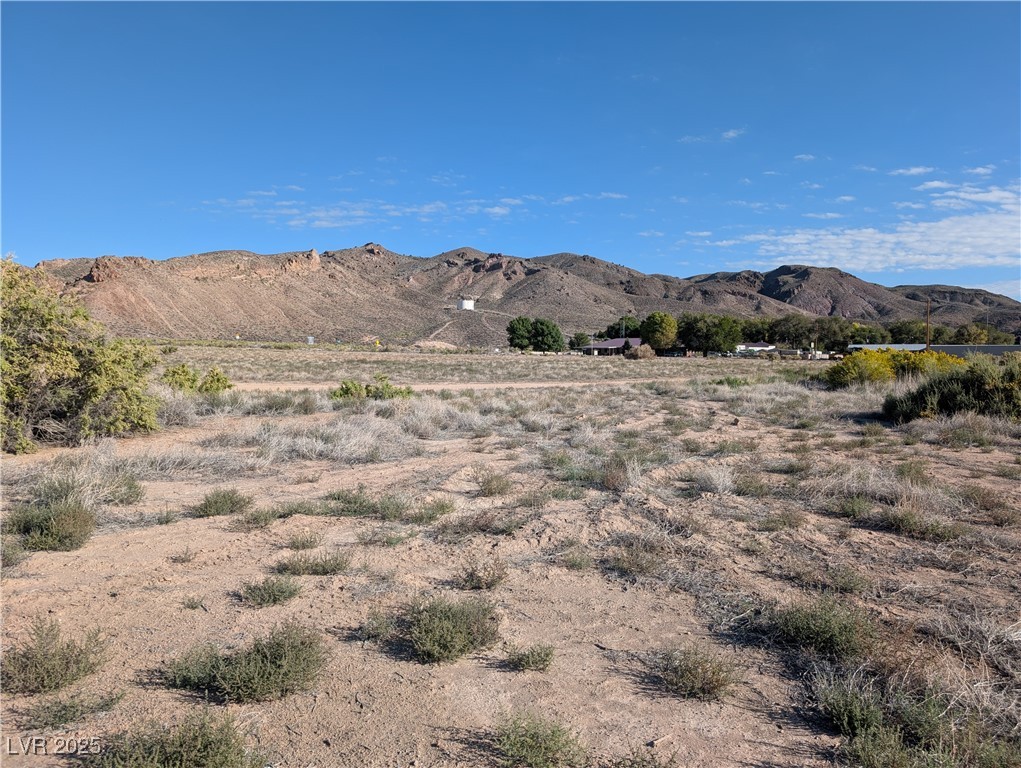 Us Hwy 93 (15.92 Ac) Property Photo 5