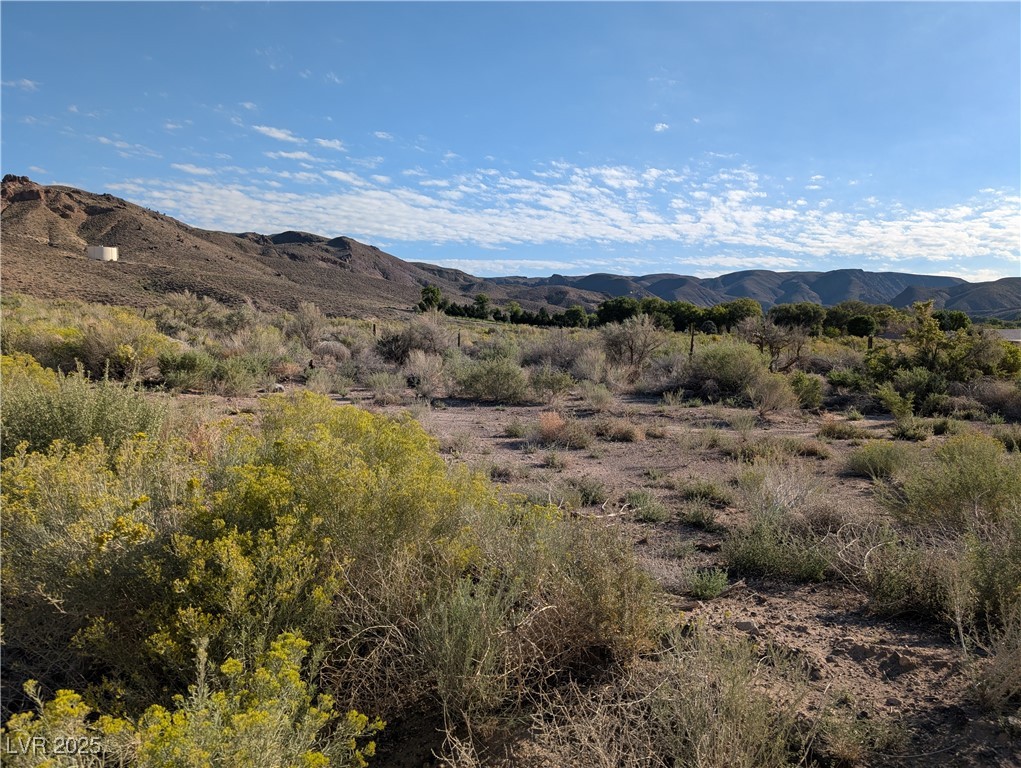 Us Hwy 93 (15.92 Ac) Property Photo 10