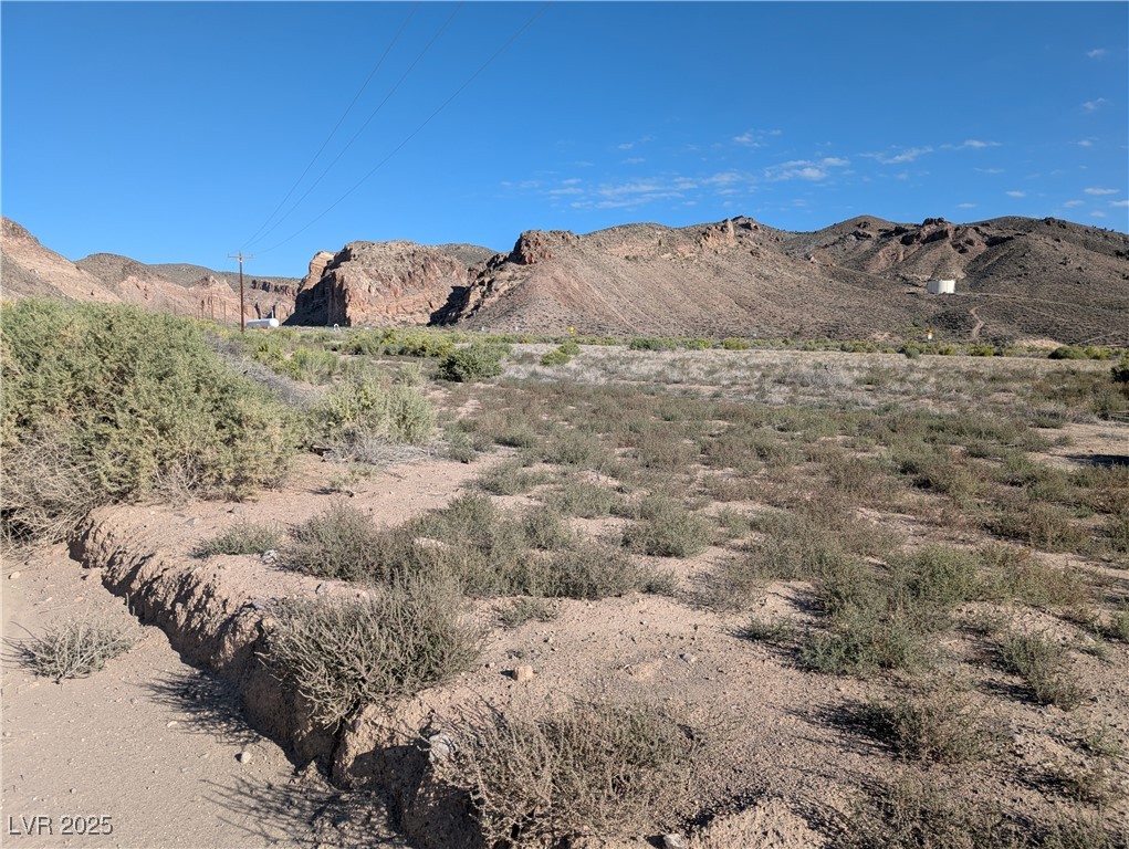 Us Hwy 93 (15.92 Ac) Property Photo 11