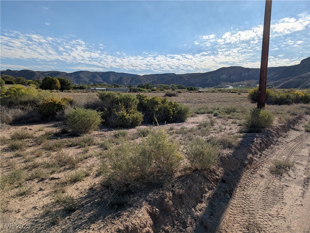 Us Hwy 93 (15.92 Ac) Property Photo 12