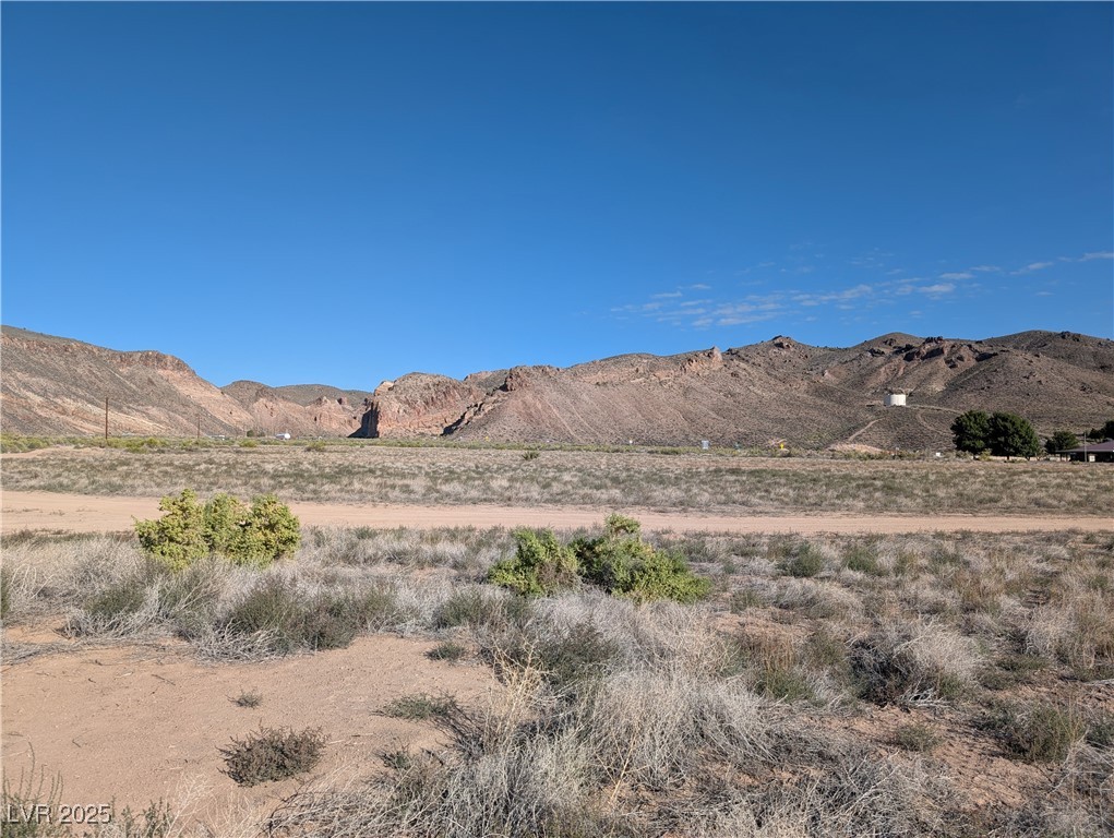 Us Hwy 93 (15.92 Ac) Property Photo 14
