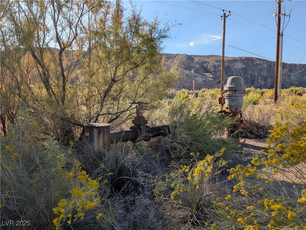 Us Hwy 93 (15.92 Ac) Property Photo 15