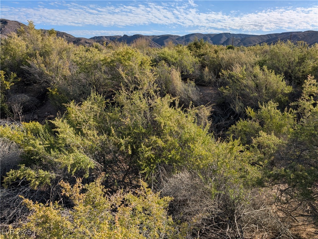 Us Hwy 93 (15.92 Ac) Property Photo 17