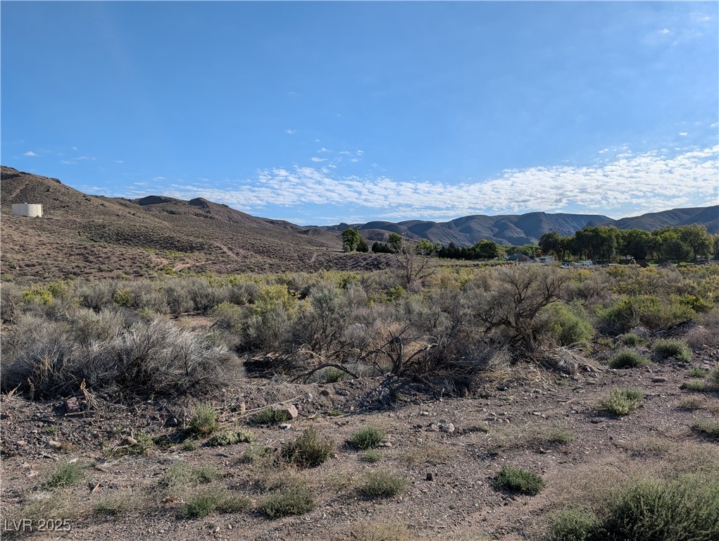 Us Hwy 93 (19.14 Ac) Property Photo 1