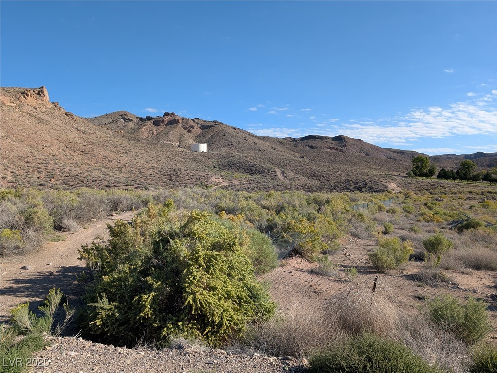 Us Hwy 93 (19.14 Ac) Property Photo 3