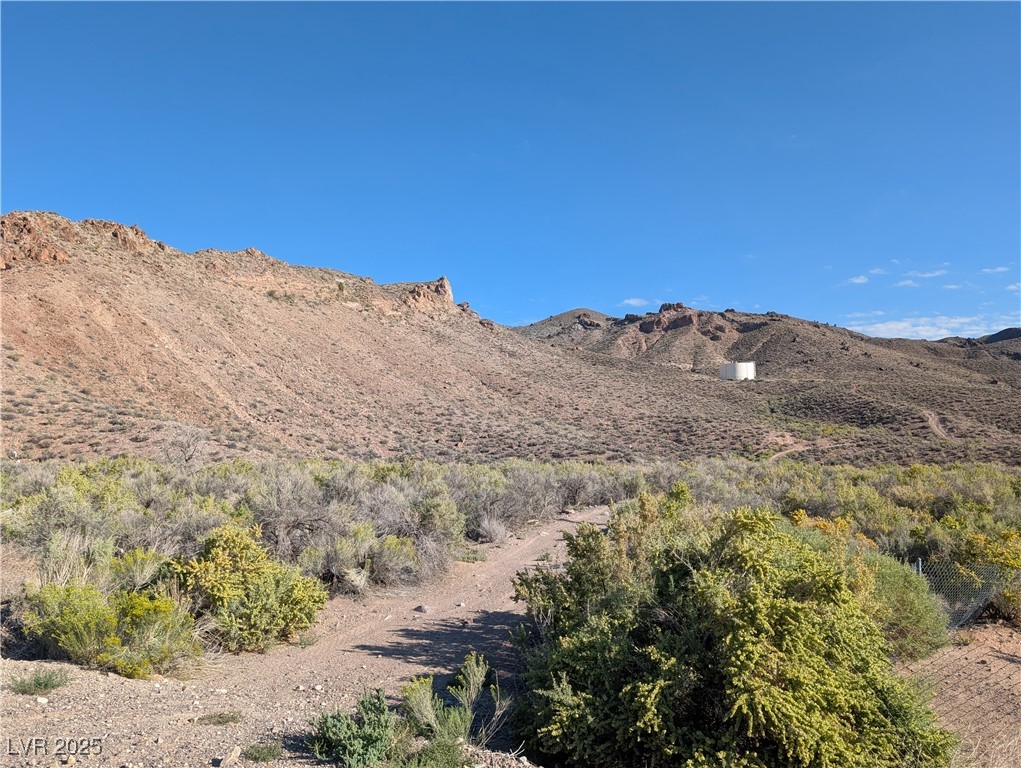 Us Hwy 93 (19.14 Ac) Property Photo 4