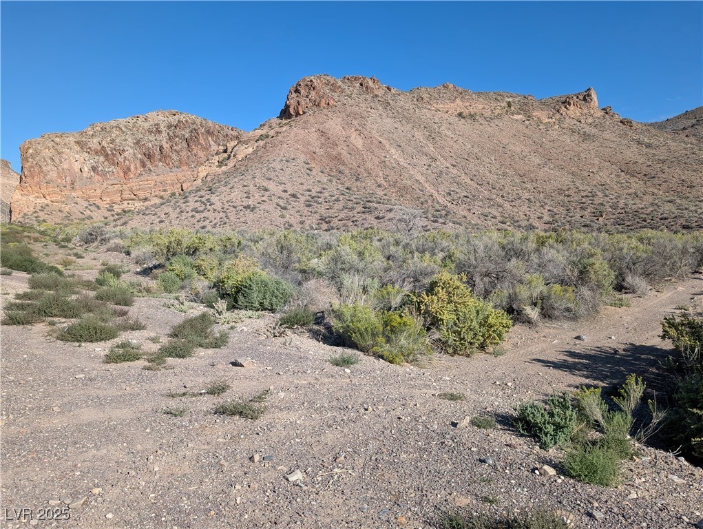 Us Hwy 93 (19.14 Ac) Property Photo 5