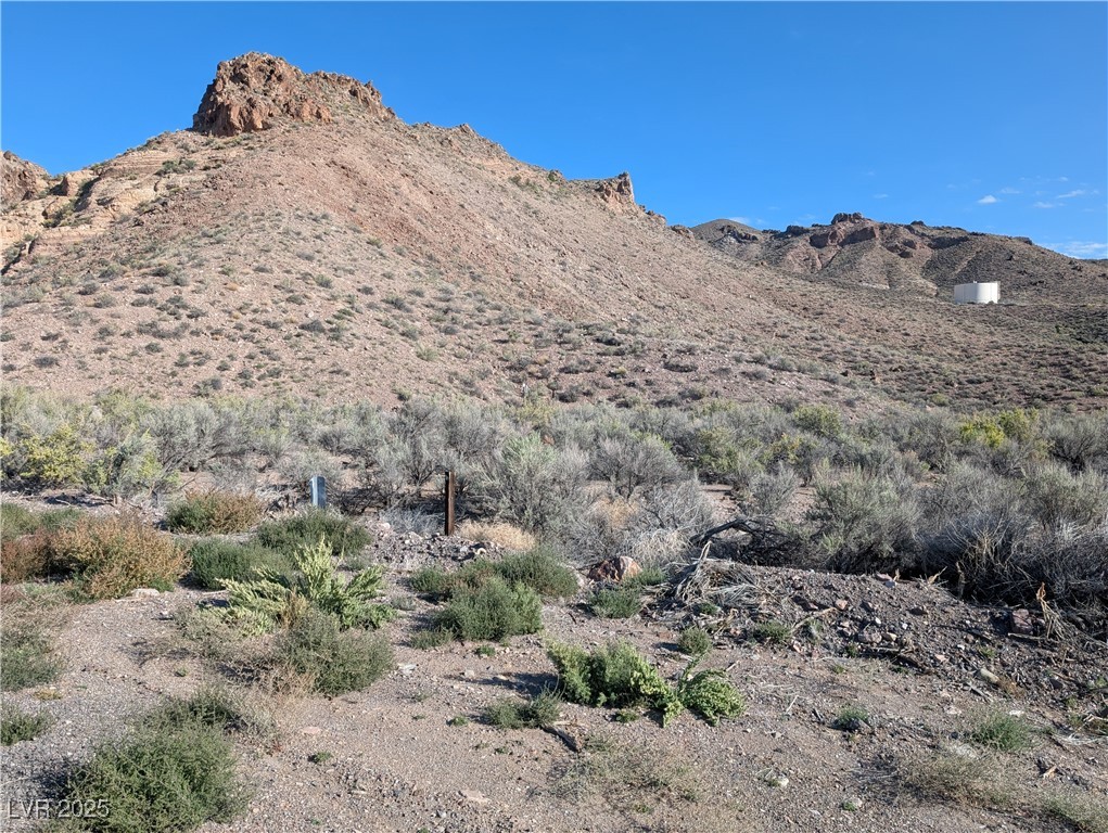 Us Hwy 93 (19.14 Ac) Property Photo 7