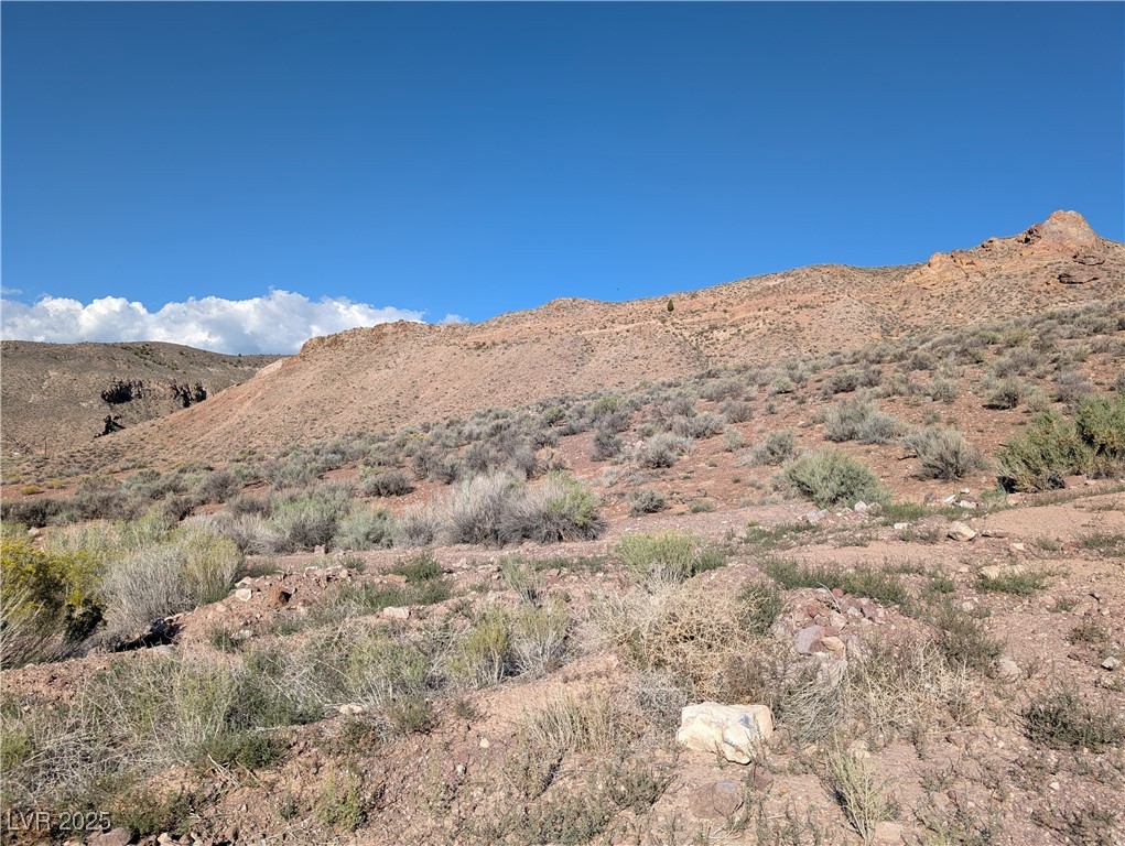 Us Hwy 93 (19.14 Ac) Property Photo 8