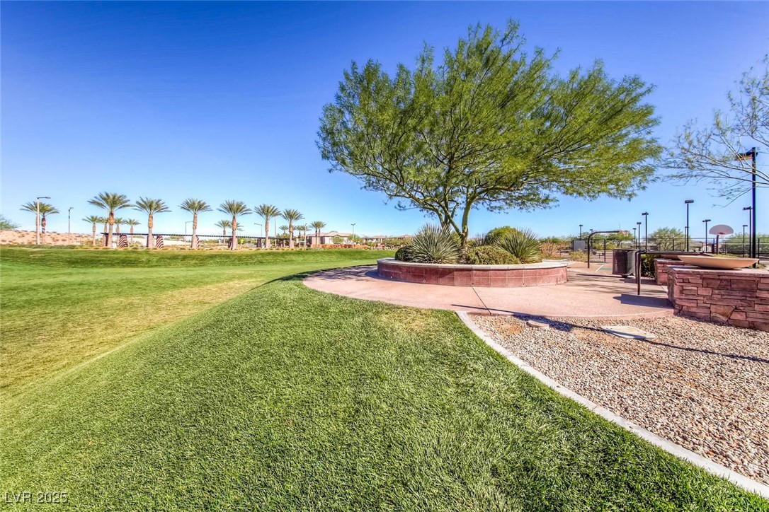 5568 Trilling Bird Drive Property Photo 40