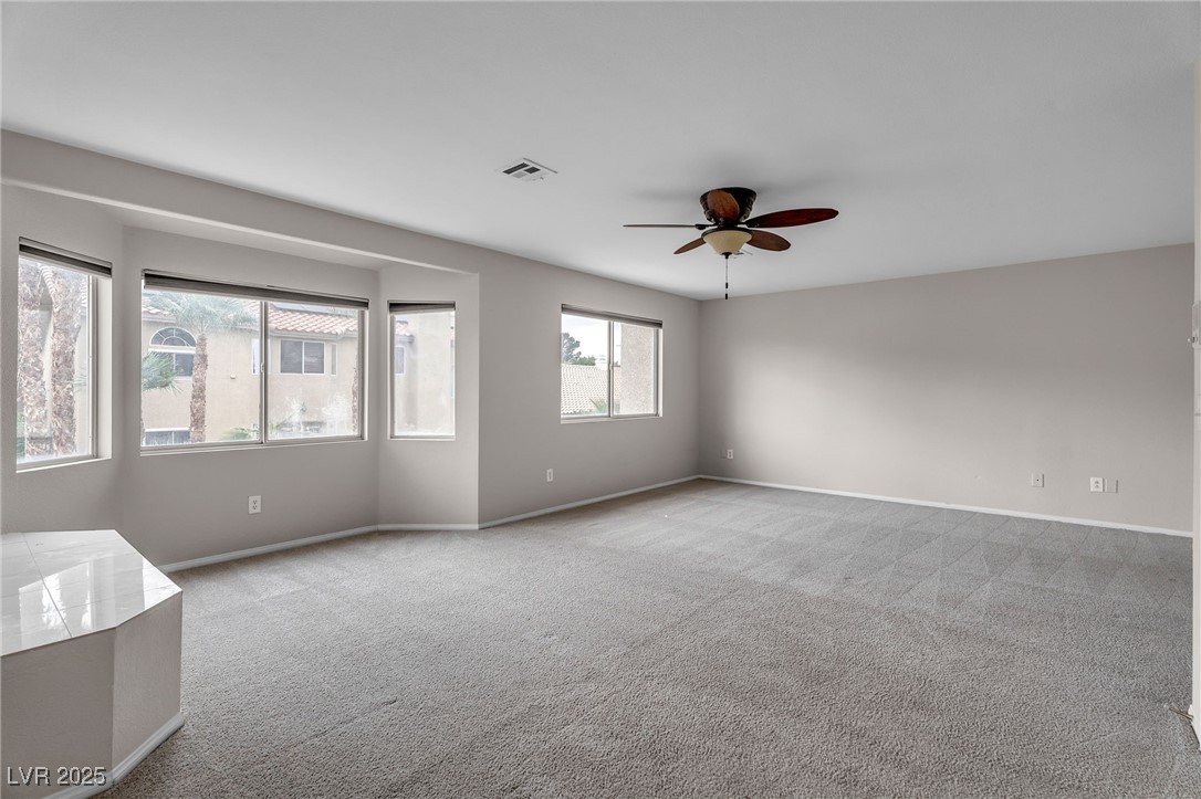 8233 Tivoli Cove Drive Property Photo 34