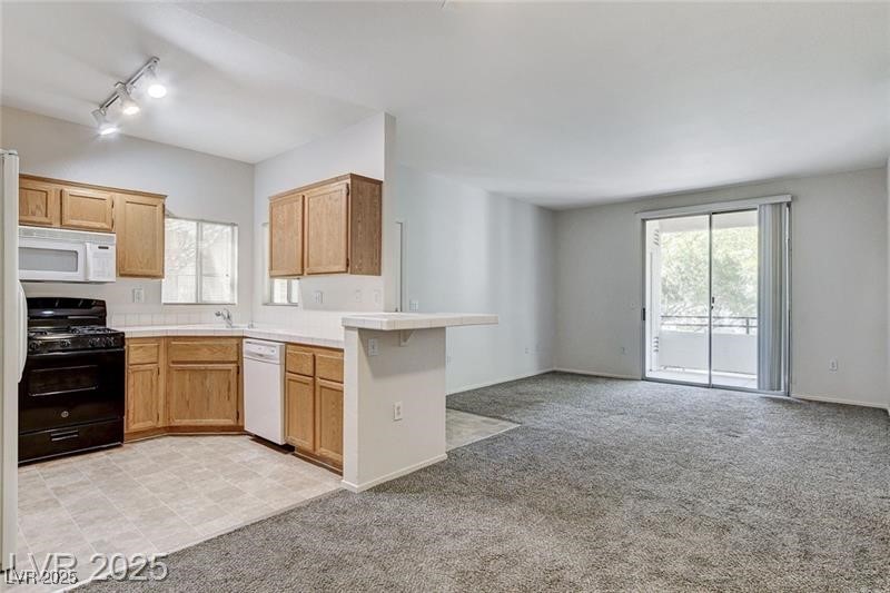 1830 Buffalo Drive 2083 Property Photo 3