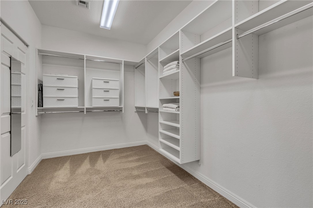 10113 Golden Bluff Avenue Property Photo 38