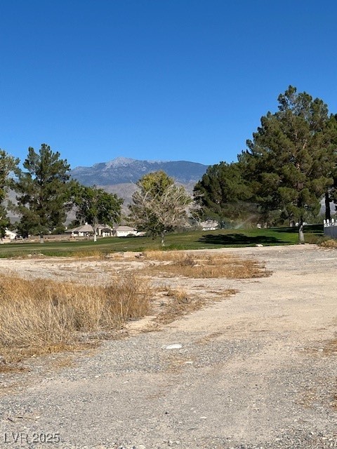 3161 Burning Tree Court Property Photo 6