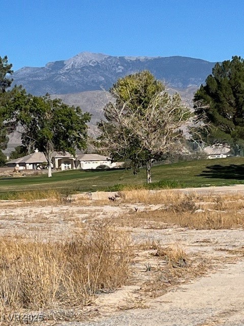 3161 Burning Tree Court Property Photo 7