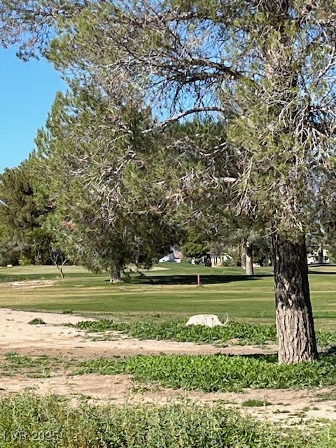 3161 Burning Tree Court Property Photo 8