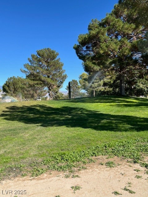 3161 Burning Tree Court Property Photo 12