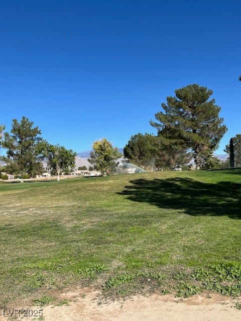 3161 Burning Tree Court Property Photo 13