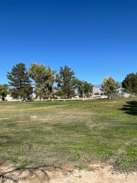 3161 Burning Tree Court Property Photo 14