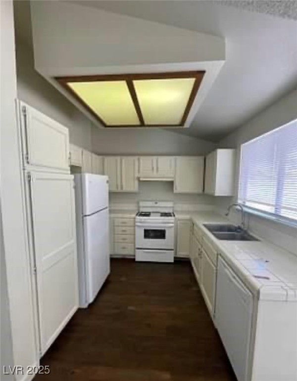 372 Rushing Creek Court Property Photo 4