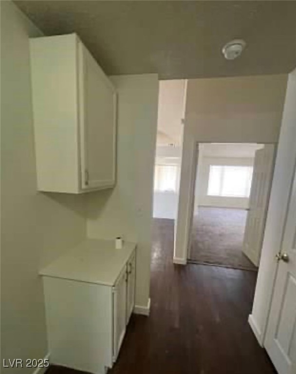 372 Rushing Creek Court Property Photo 10