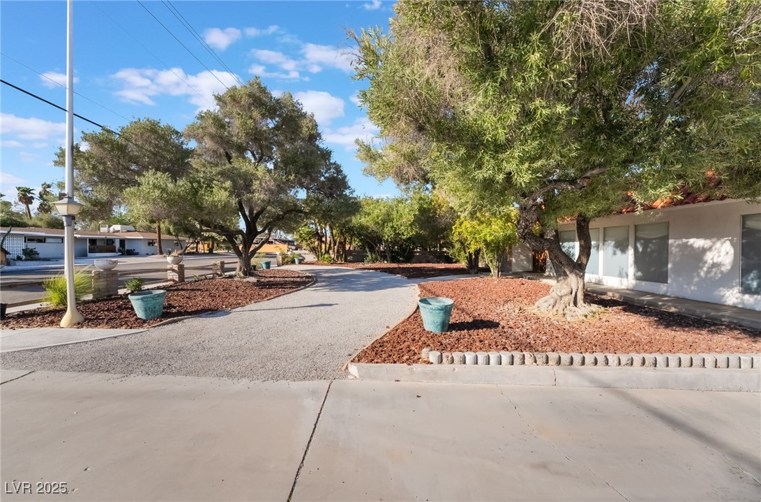 909 Cashman Drive Property Photo 4