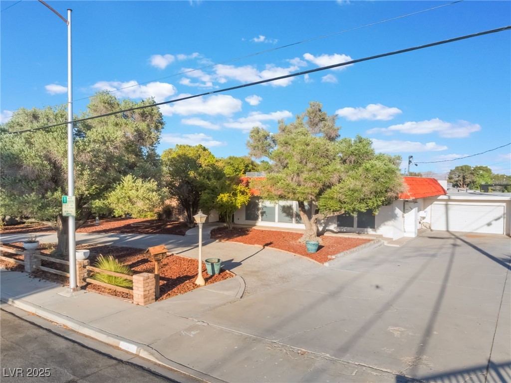 909 Cashman Drive Property Photo 89