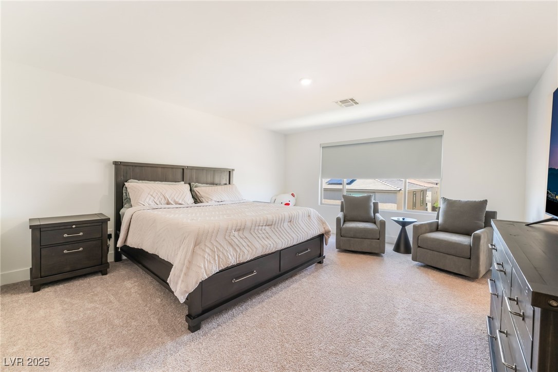 10197 Magnolia Creek Street Property Photo 15