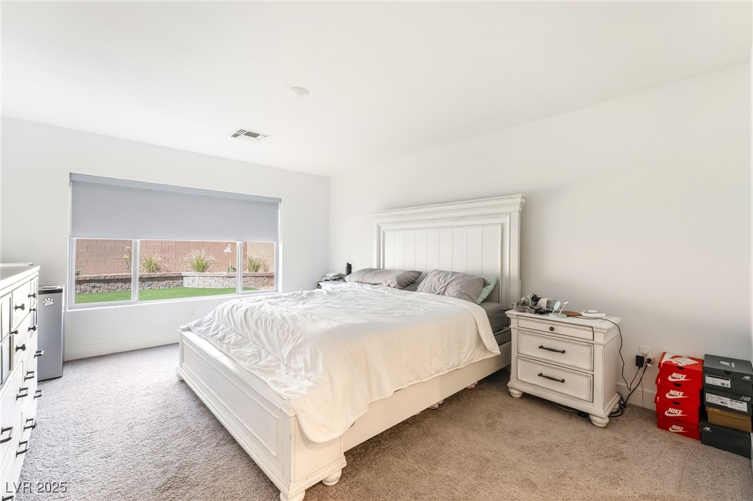 10197 Magnolia Creek Street Property Photo 42