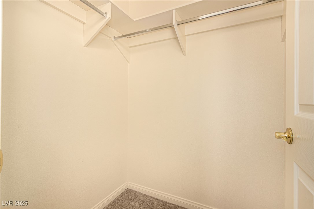 11246 Parleys Cone Court Property Photo 22