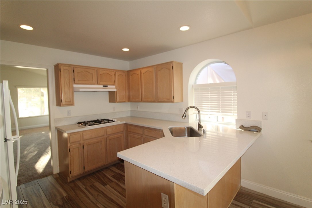 1629 British Cup Drive Property Photo 16