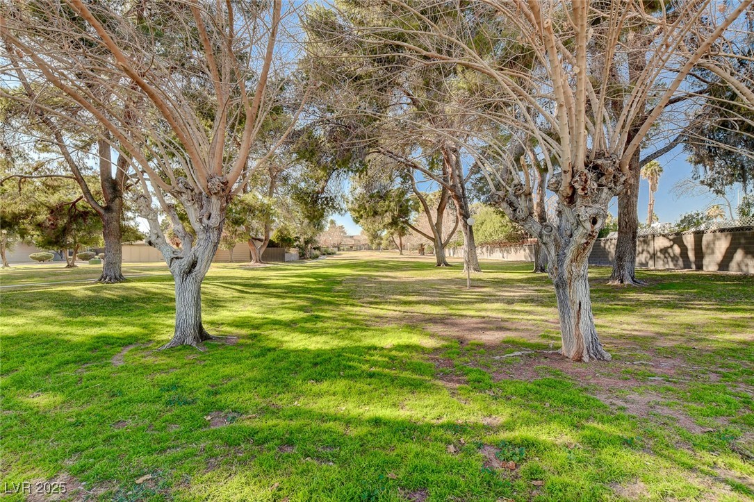 4045 Great Plains Way Property Photo 42
