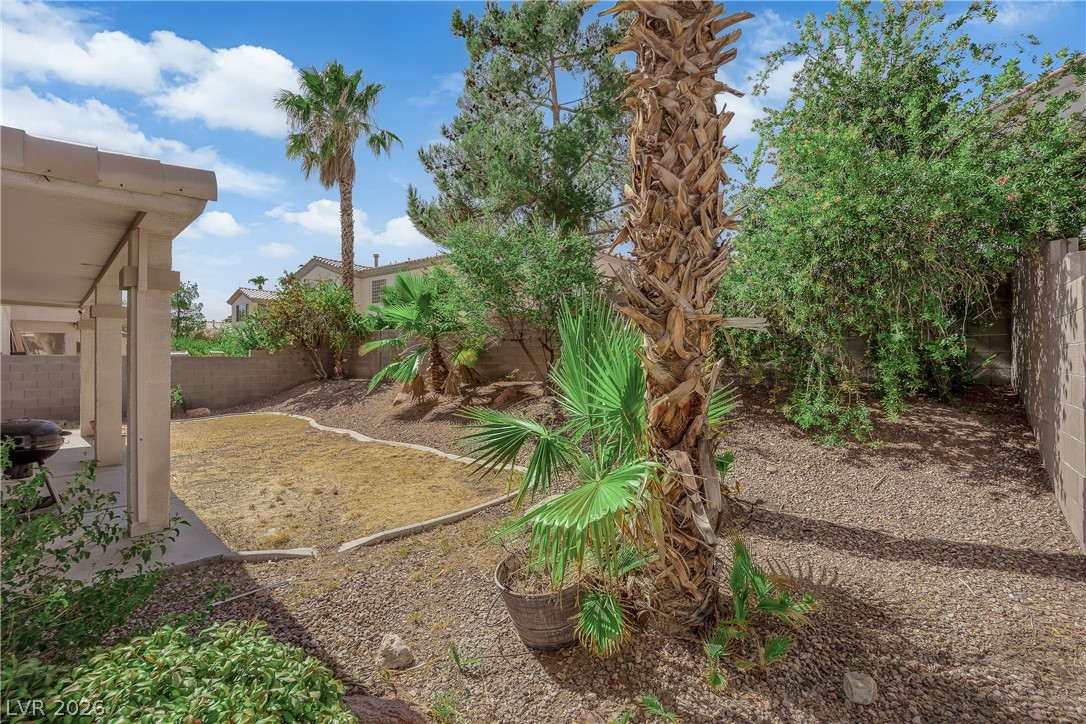 311 Turtle Peak Avenue Property Photo 39