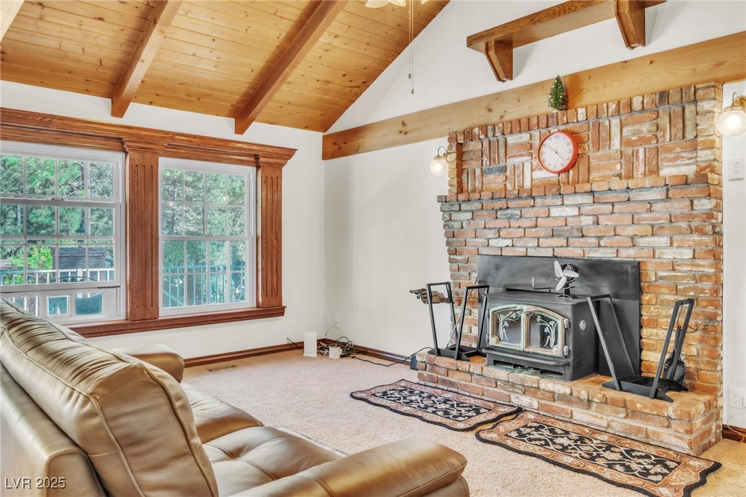 4063 Zugspitz Way Property Photo 43