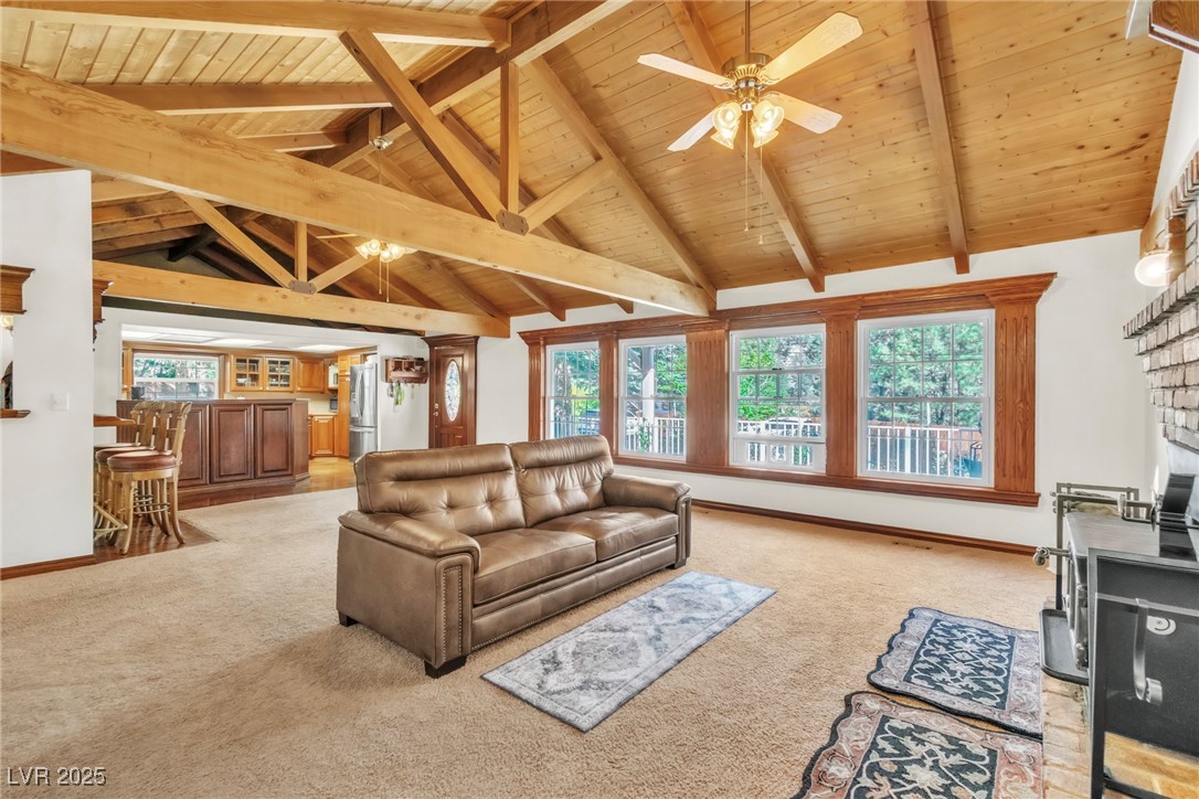 4063 Zugspitz Way Property Photo 49