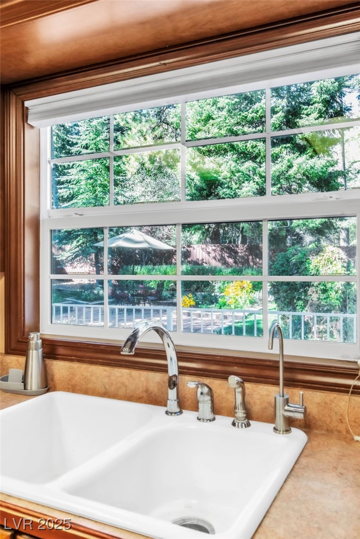 4063 Zugspitz Way Property Photo 60