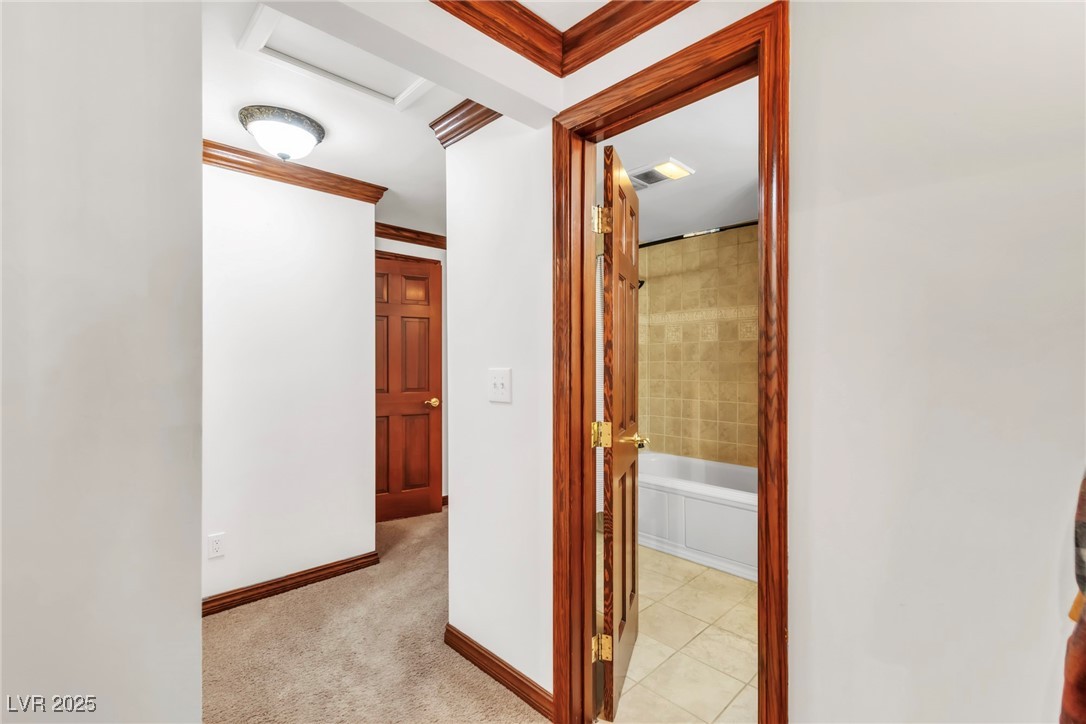4063 Zugspitz Way Property Photo 66