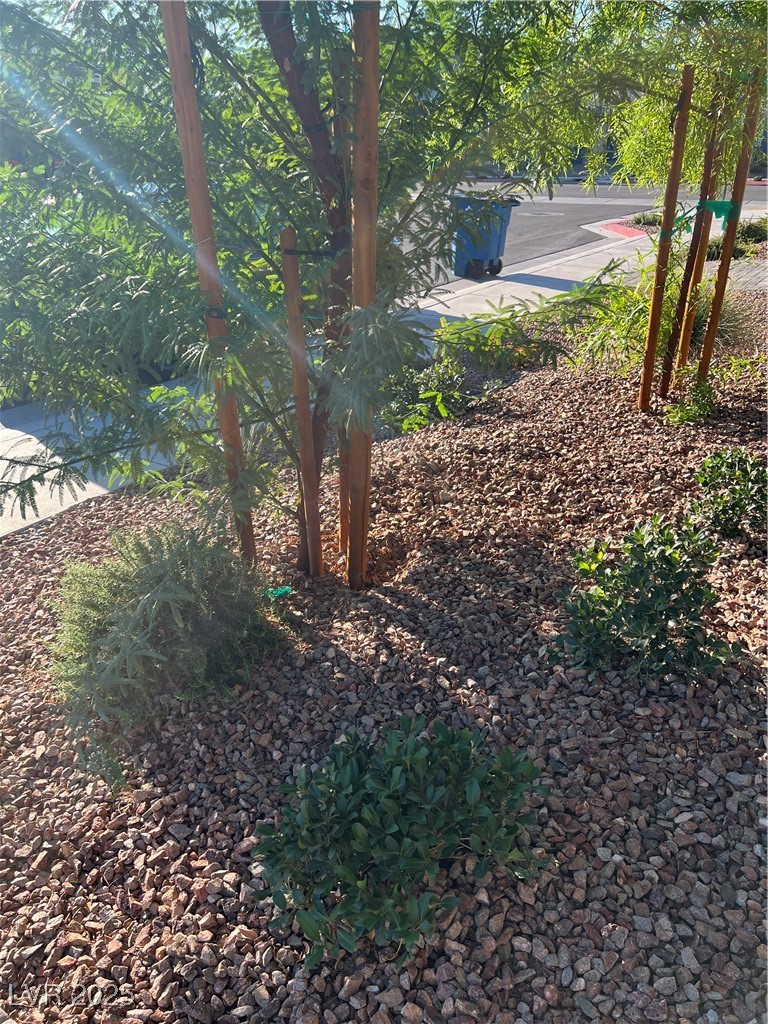 1173 Melody Lark Street Property Photo 37