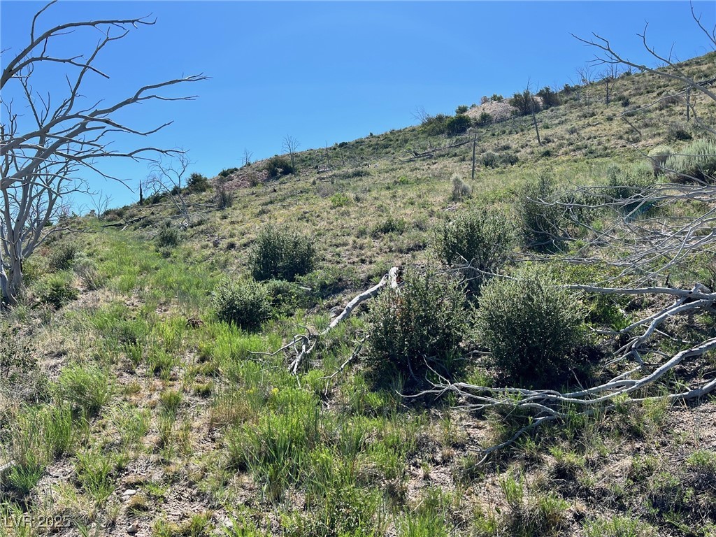 Canyon Peak Property Photo 2