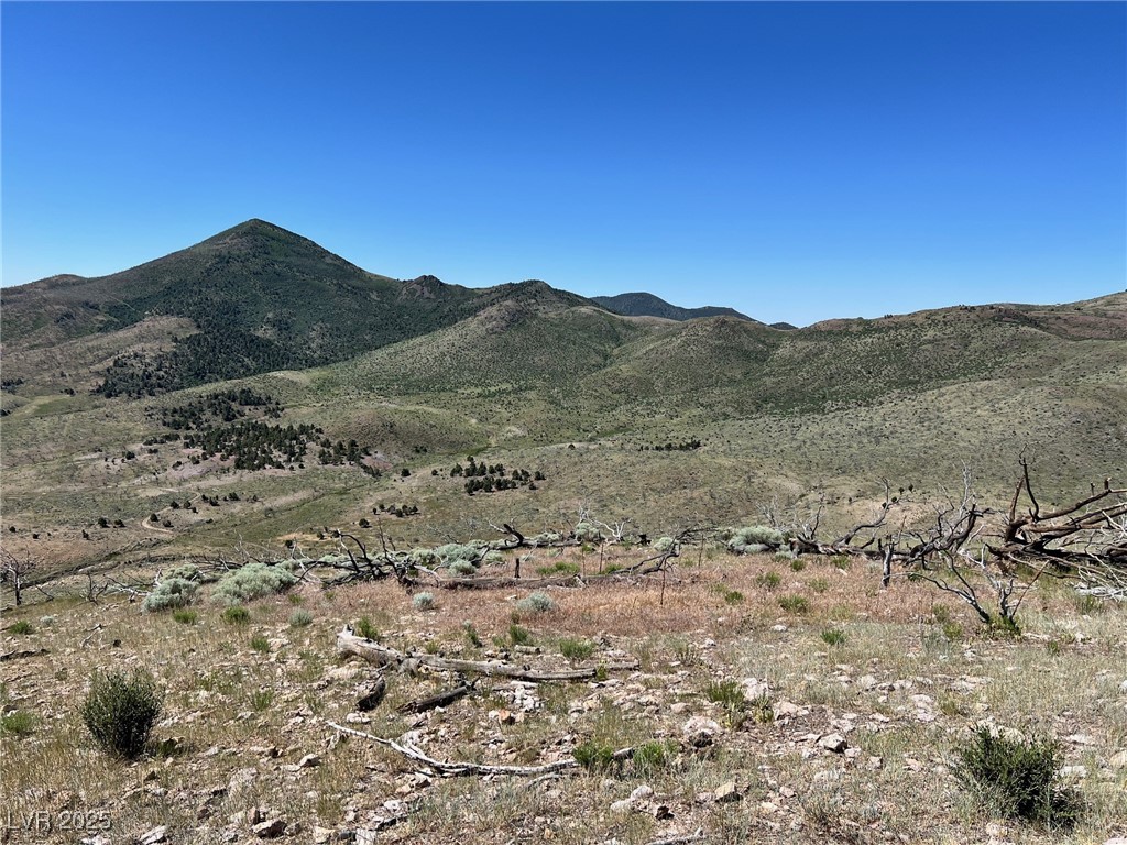 Canyon Peak Property Photo 6