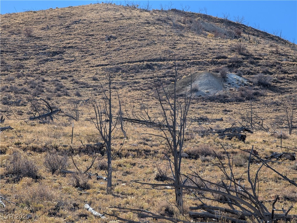 Canyon Peak Property Photo 21