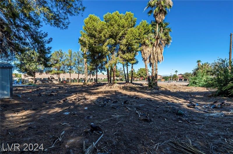 3515 East Sunset Road Property Photo 9