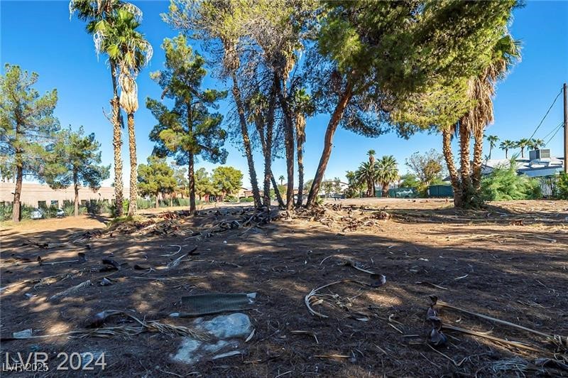 3515 East Sunset Road Property Photo 10