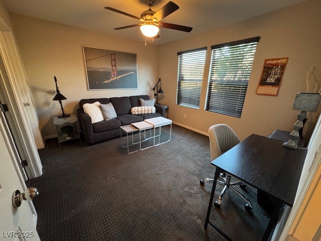 62 Morning Mimosa Court Property Photo 16