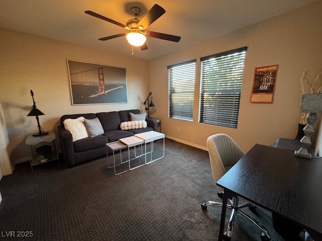 62 Morning Mimosa Court Property Photo 17