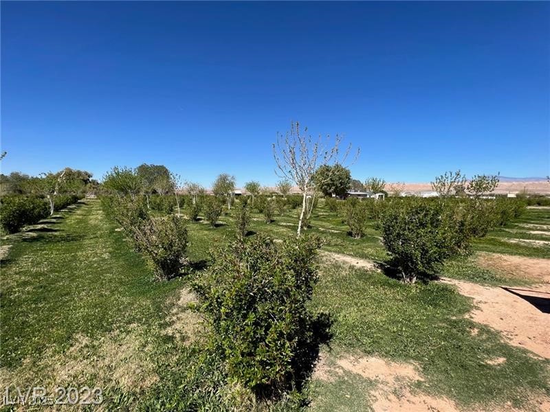 1065 South Moapa Valley Boulevard Property Photo 28