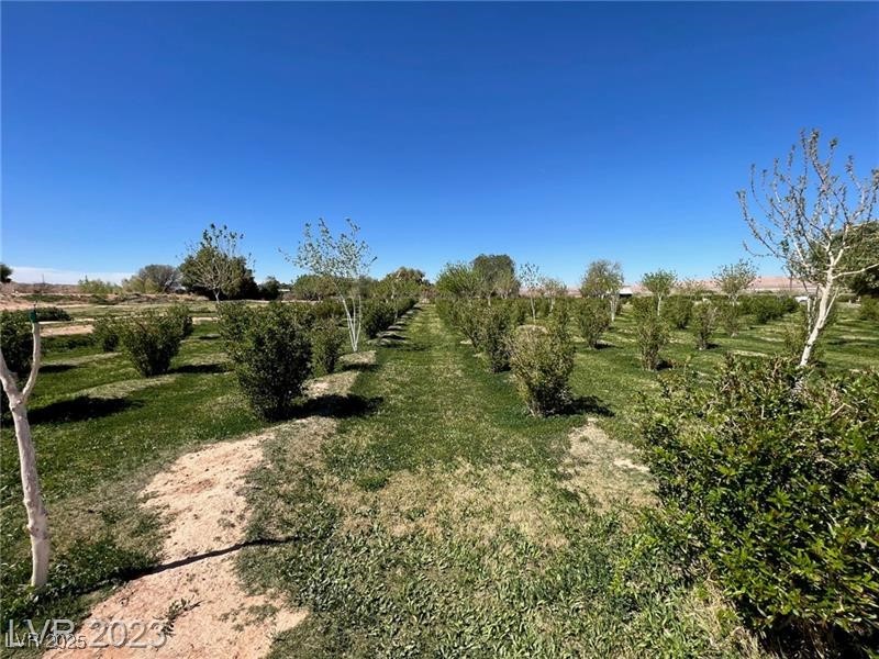 1065 South Moapa Valley Boulevard Property Photo 29