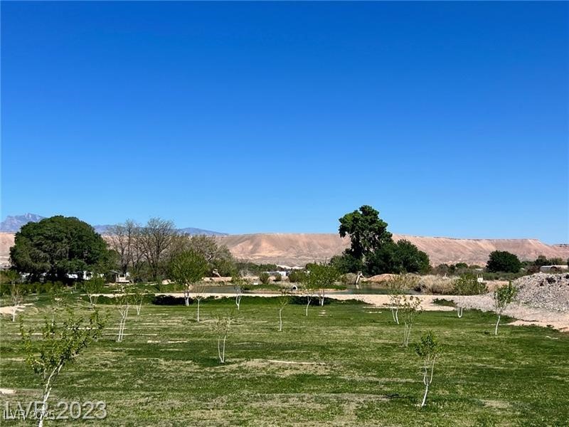 1065 South Moapa Valley Boulevard Property Photo 30