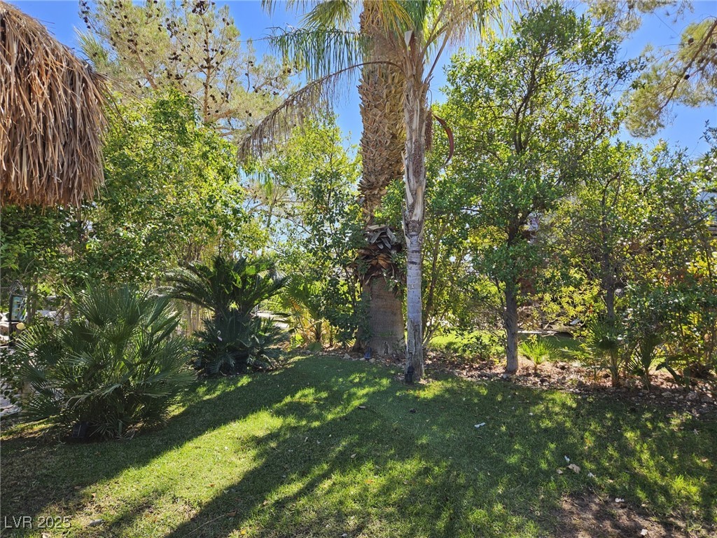 8175 Arville Street 269 Property Photo 7