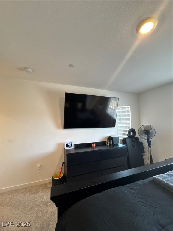 9215 Sky Pointe Drive Property Photo 19